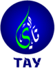 TAY Group official site logo representing multi-service business solutions in the UAE.